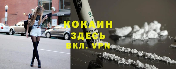 COCAINE Богородицк